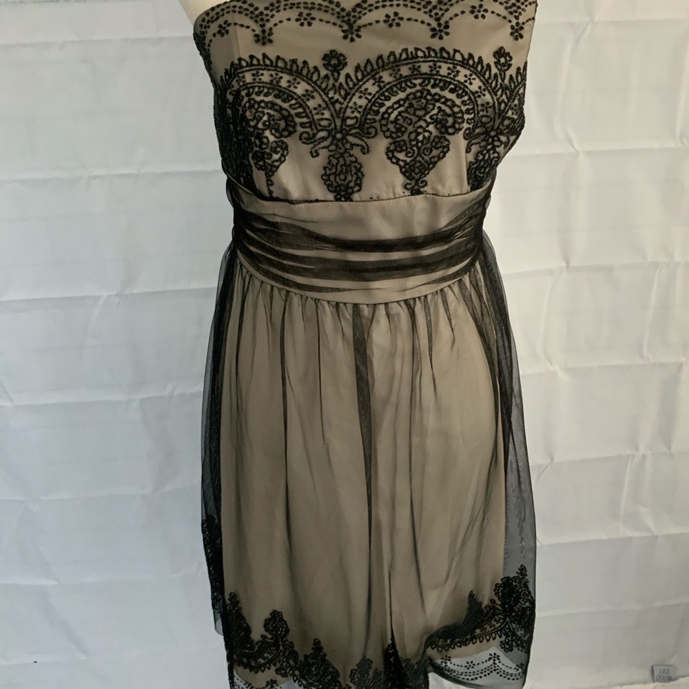 STRAPLESS  formal ~David’s bridal dress